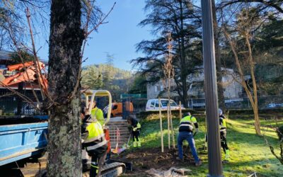 De nouveaux arbres à Vals-les-Bains